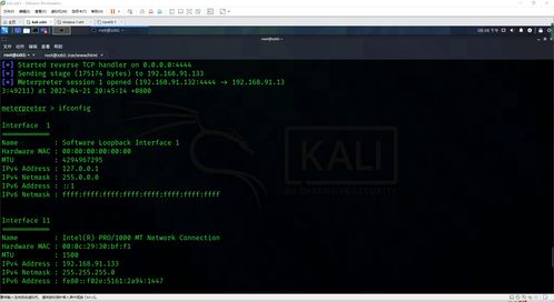 跨平臺惡意軟件開發與網絡安全滲透測試實踐